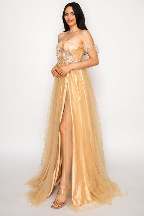 Floral Appliqué Off-Shoulder Tulle Gown