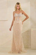 Sequin Corset Dress